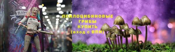 спайс Осинники